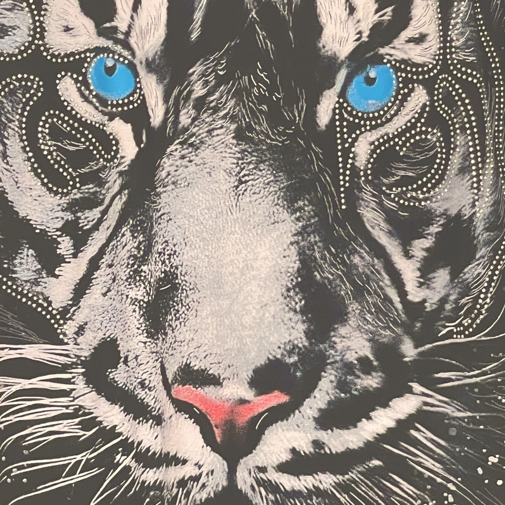 Tiger - Picture 4 of 4